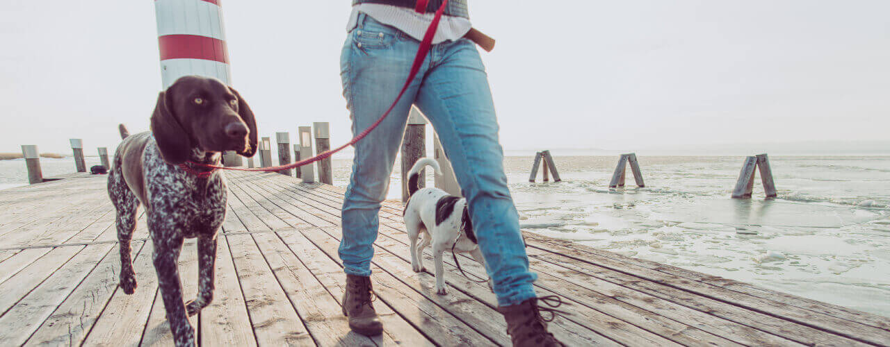 physical activity in Glenn Dale & Clinton in a physical therapy clinic