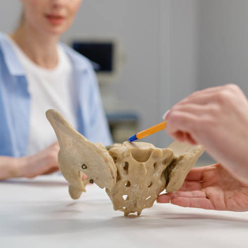 pelvic-pain-evidence-physical-therapy-glenn-dale-clinton-laurel-md